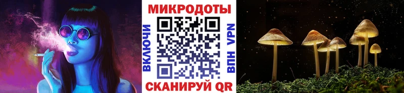 Галлюциногенные грибы Psilocybine cubensis  Сыктывкар 